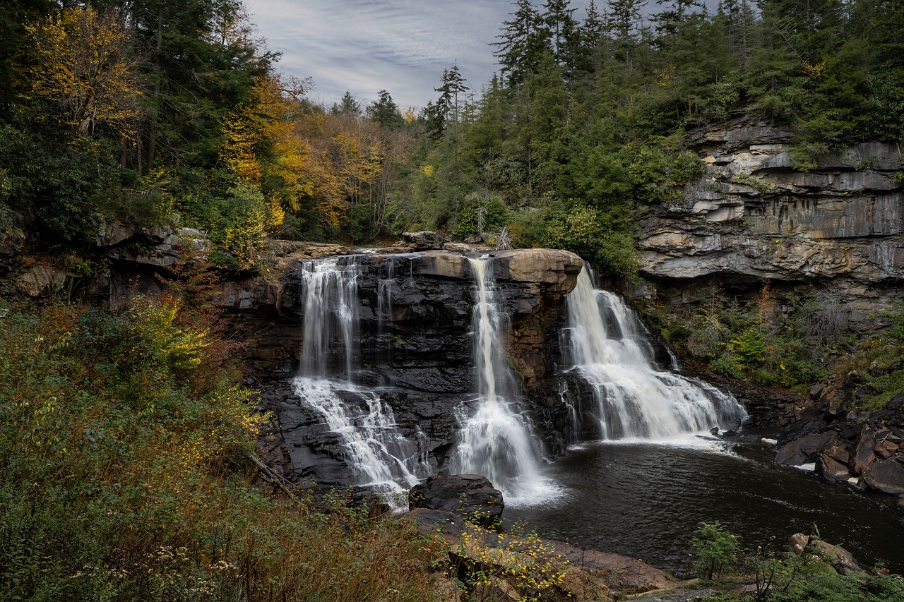 waterfall with trees in Blackwater Falls, WV
