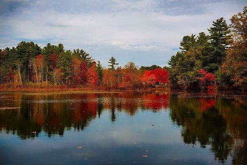 Fall foliage on trees around a reflective lake